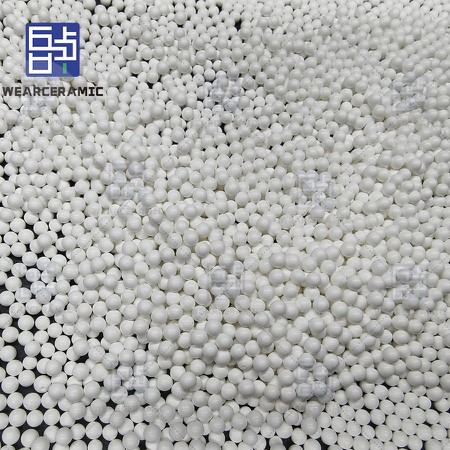 IMG20240815101619 IMG20240815101619